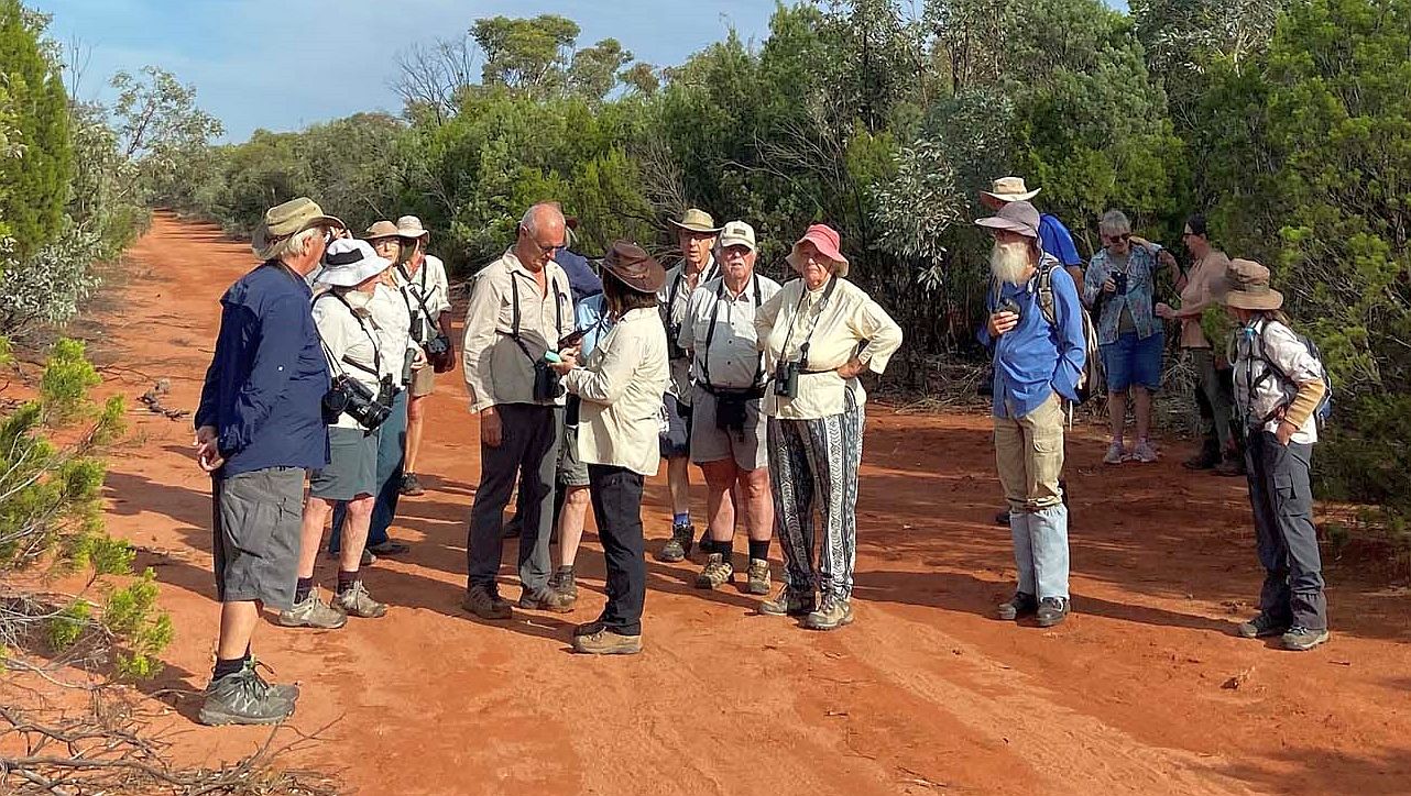 Photograph of some Illawarra Birders at Round Hill Nature Reserve, central NSW, March 2022