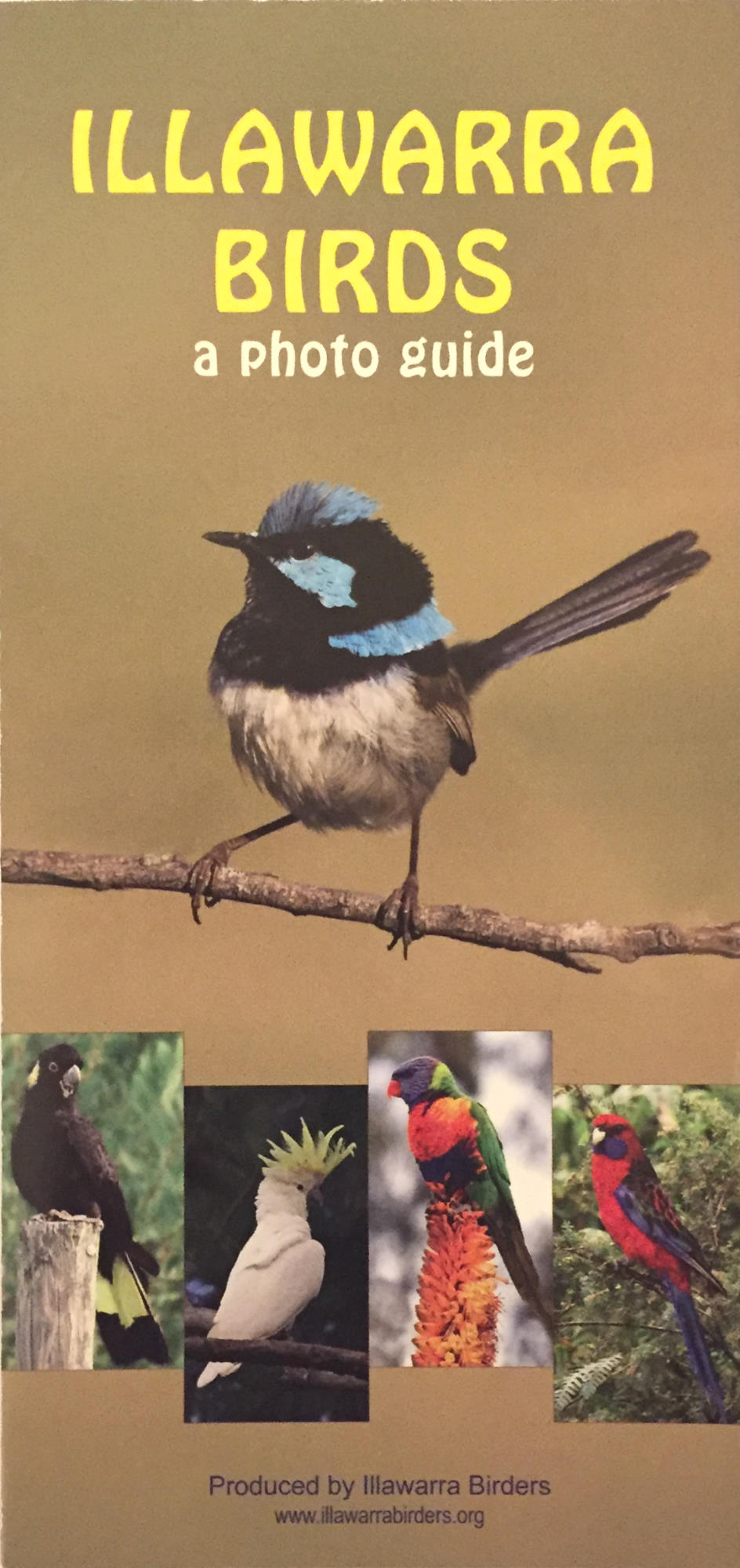 Illawarra Birders brochure front page
