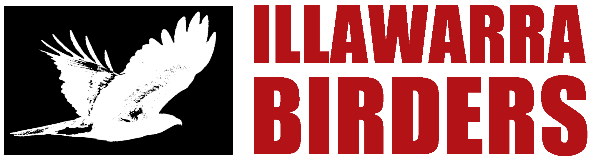 Illawarra Birders